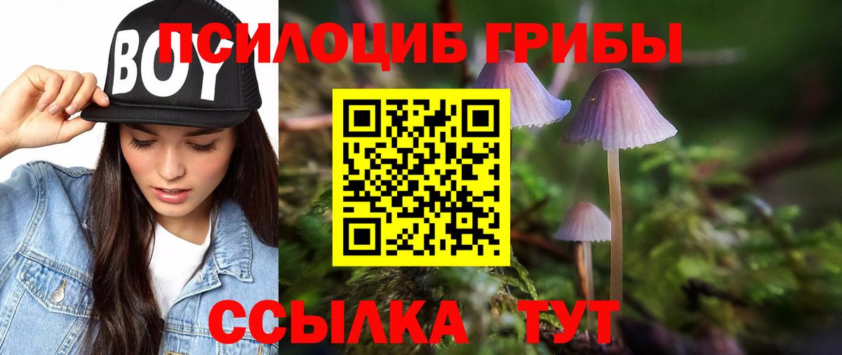 Галлюциногенные грибы ЛСД  Вход с VPN  Майский  Галлюциногенные грибы Cubensis 