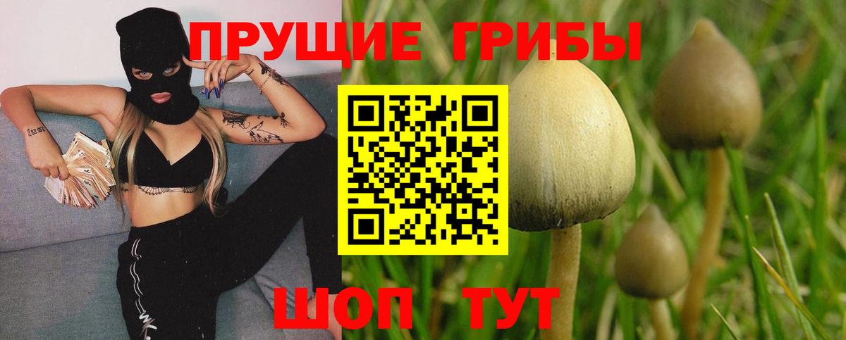 Псилоцибиновые грибы ЛСД Майский